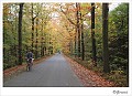 Herfstkleuren Beverbeek 1